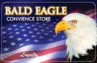 Bald Eagle